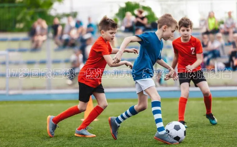 333体育app官方下载百度学术17岁国家足球一级运动员：未来之星闪耀舞台