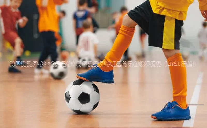 333体育平台网页版光魔科技韩国狗狗足球运动员是谁? 韩国狗狗足球明星的最新状况揭秘【2021最新】