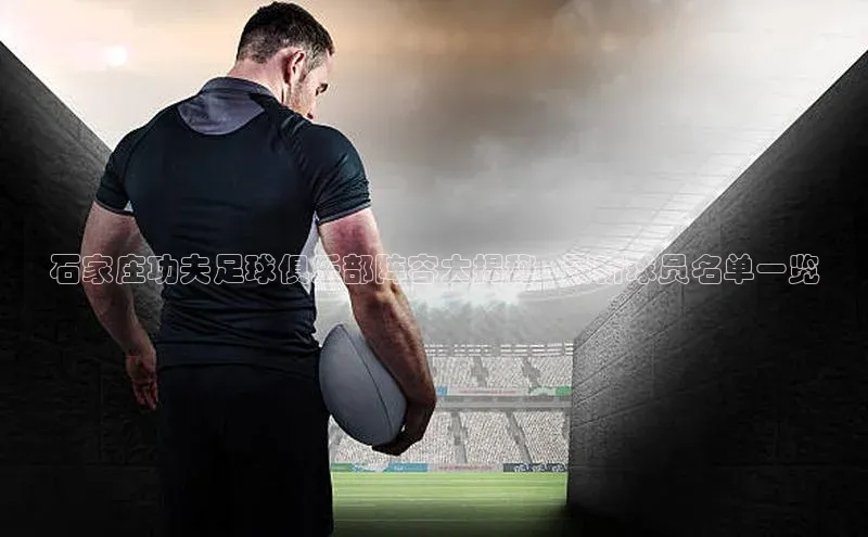 333体育官网登录入口巴美列捷福石家庄功夫足球俱乐部阵容大揭秘 - 最新球员名单一览