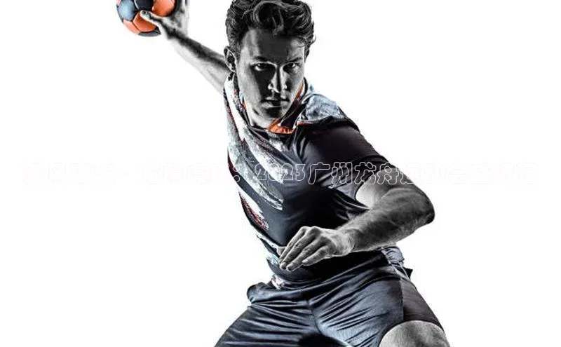 333体育百度数据开放平台乘风破浪·龙腾虎跃：2023广州龙舟运动会盛况记