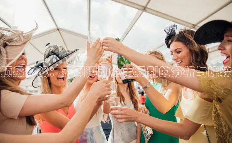 333体育官网app下载赛富乐斯顶级挑战：不同运动赛事级别的分析与比较