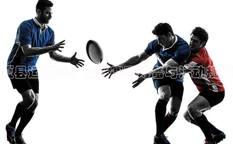 333体育官网下载诸葛科技夏县运动会：精彩赛事筹备与活动规划