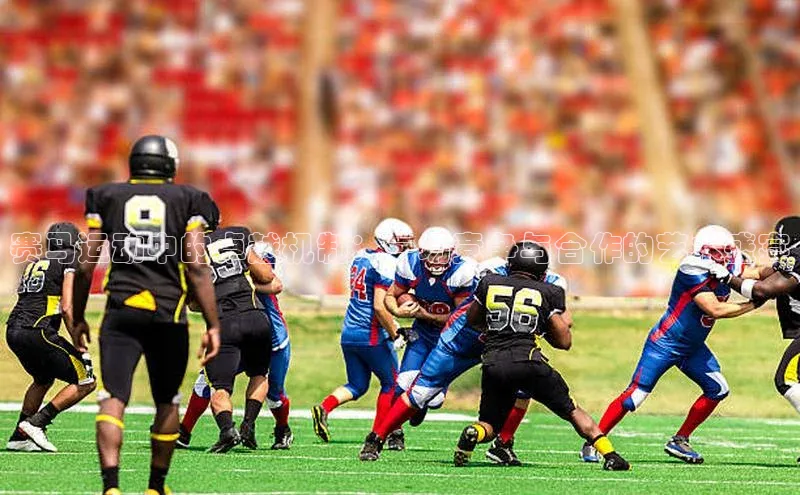 333体育改成3377了吗普信公司赛马运动中的卓越机制：一场竞争与合作的艺术盛宴