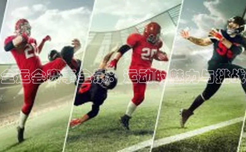全运会赛事全景：运动的魅力与挑战