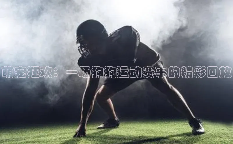 萌宠狂欢：一场狗狗运动赛事的精彩回放