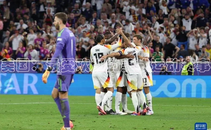 333体育平台官网