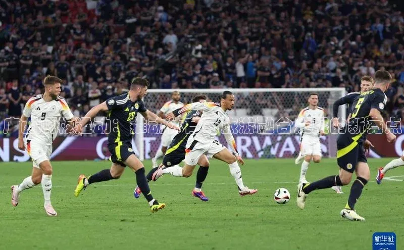 333体育官网app下载