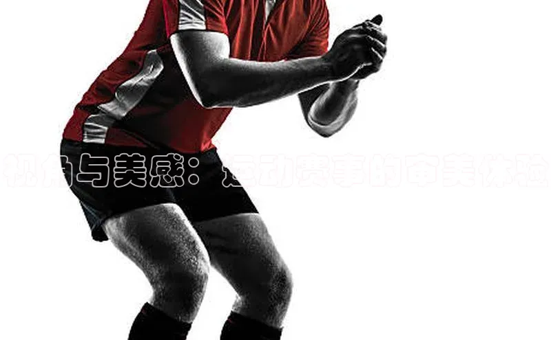 视角与美感：运动赛事的审美体验