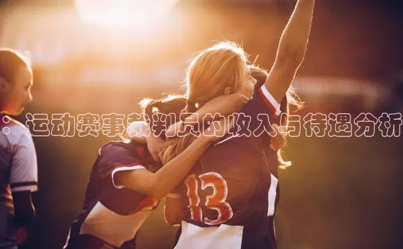 ：运动赛事裁判员的收入与待遇分析
