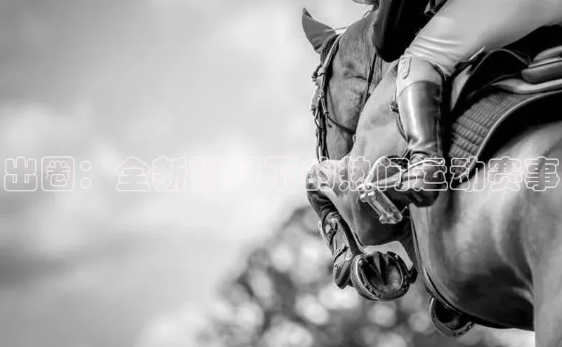 出圈：全新视野下的热门运动赛事