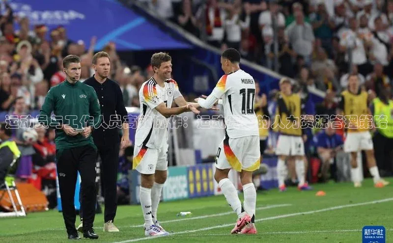 运动员与工作人员高效协作：运动赛事的人力资源管理策略