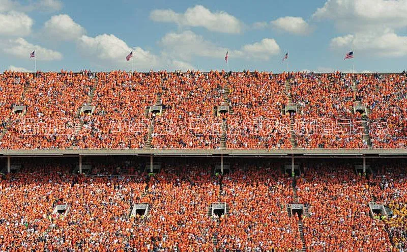 运动盛事：2023世界马拉松锦标赛前瞻与亮点