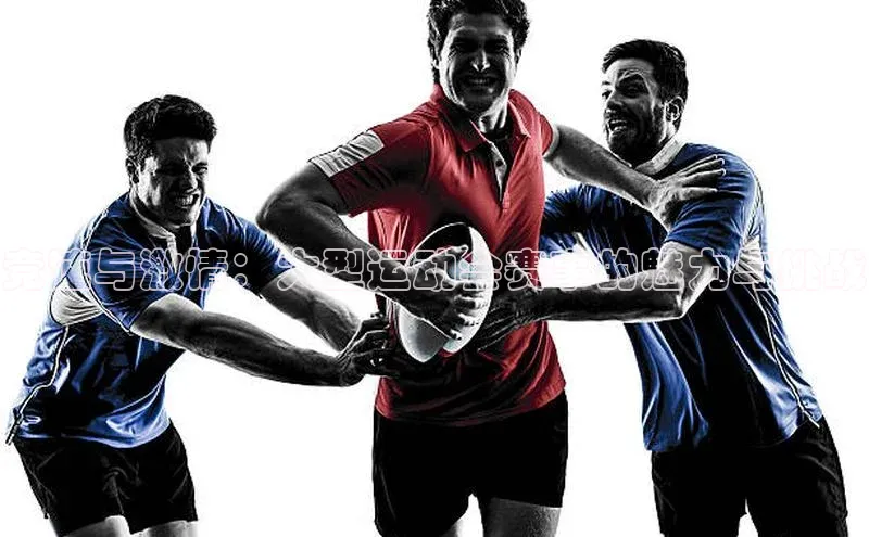 333体育官网登录入口