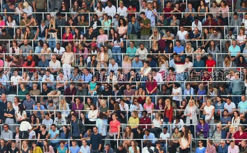 激情碰撞：高水平排球赛事的精彩瞬间与竞技魅力