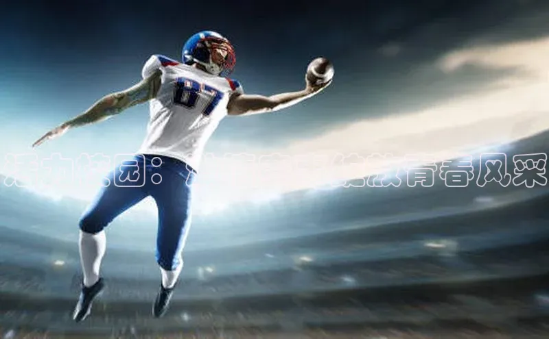 333体育平台网页下载